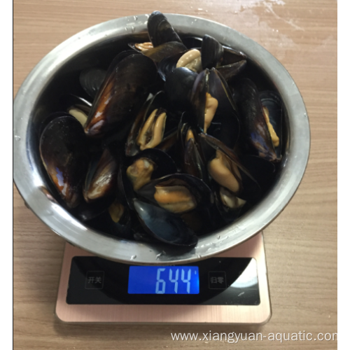 frozen cooked full shell mussels